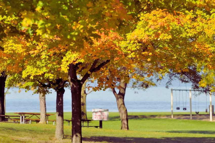 These 12 Michigan counties are getting funds to spruce up parks, playscapes