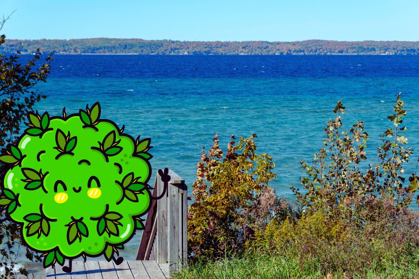 7 quick hits of cannabis news from across Michigan