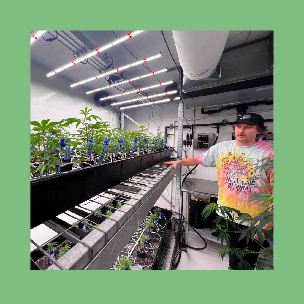 Inside Voyage Bloom: The Flint-based cannabis brand growing some of Michigan’s best weed