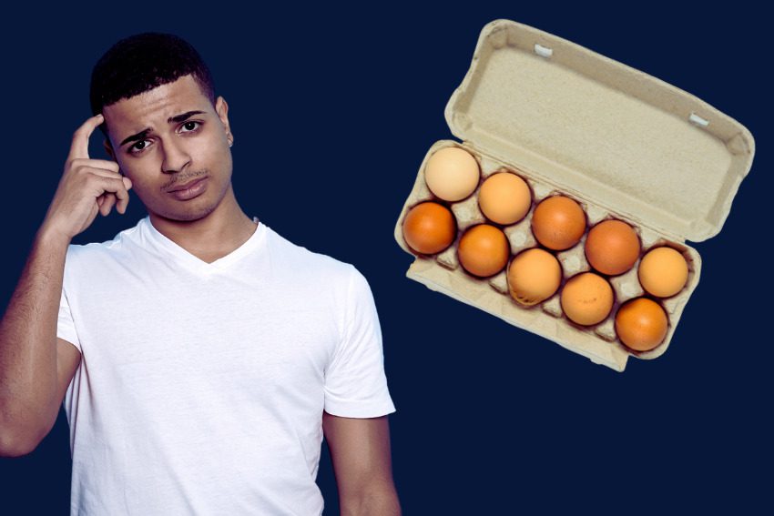 What’s the deal with cage-free egg laws in Michigan?
