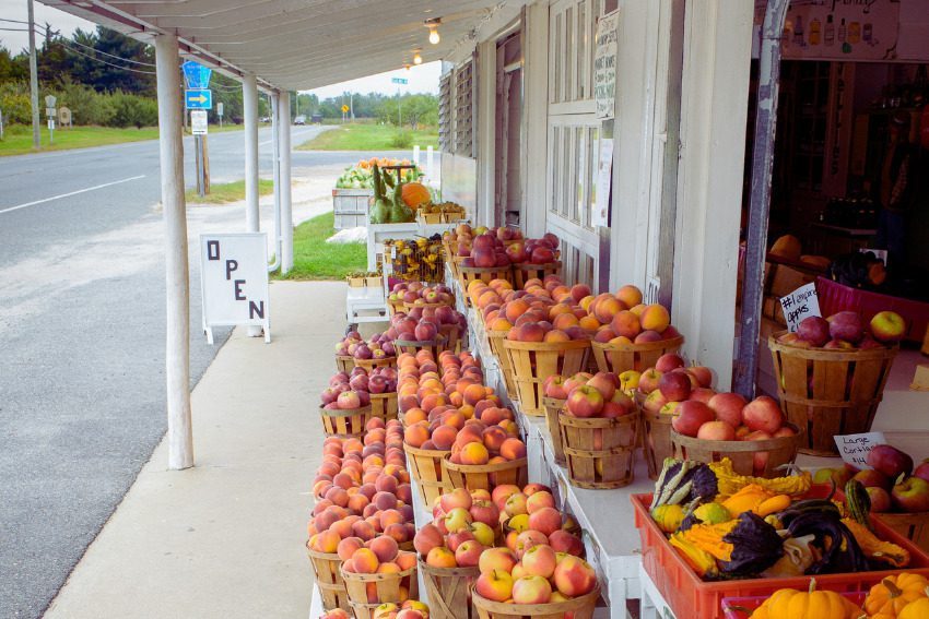 Fresh food, stronger farms: Michigan invests millions to support local agriculture 