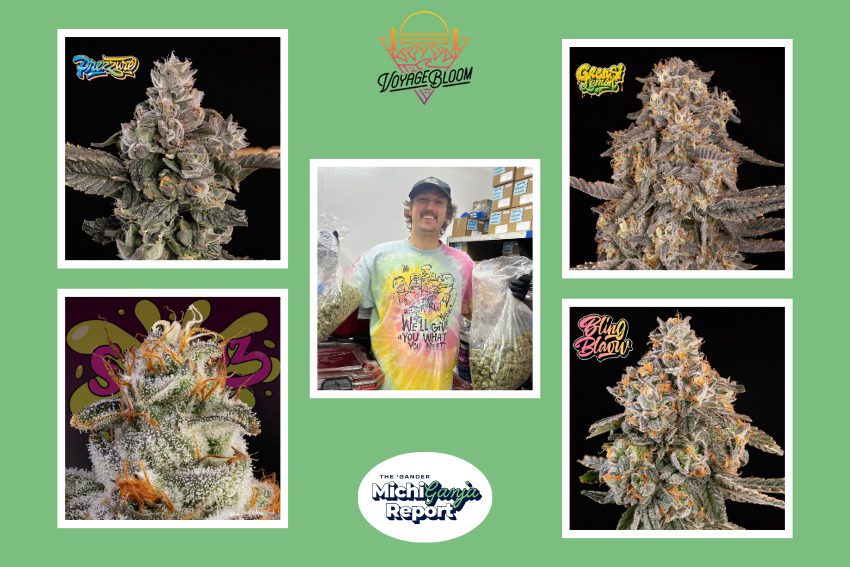 Inside Voyage Bloom: The Flint-based cannabis brand growing some of Michigan’s best weed