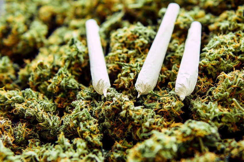 Who rolls Michigan’s best pre-rolled joints?
