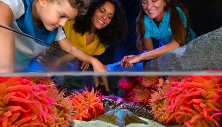 12 places in Michigan to spend Spring Break