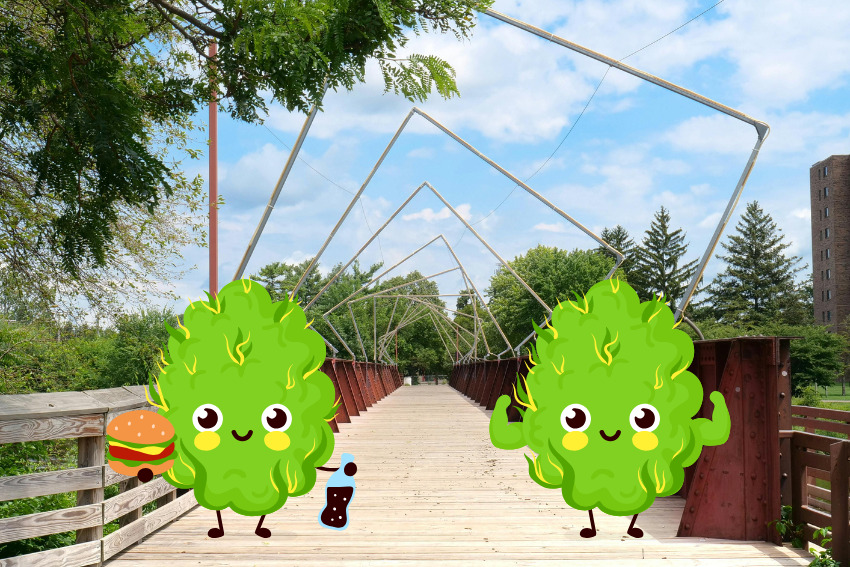 9 quick hits of cannabis news from across Michigan