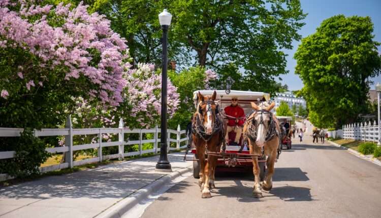 Michigan in Bloom: 9 Flower Festivals to Check Out in 2025