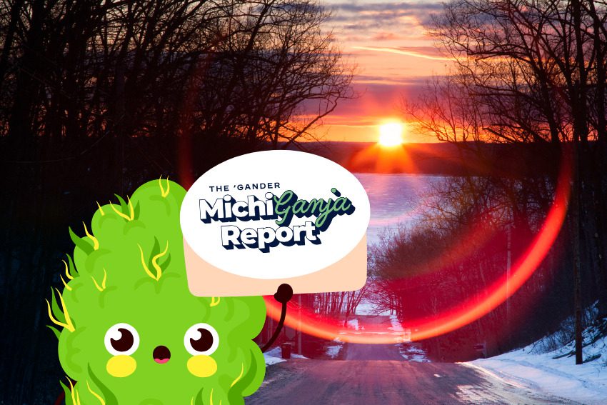 5 quick hits of cannabis news from across Michigan