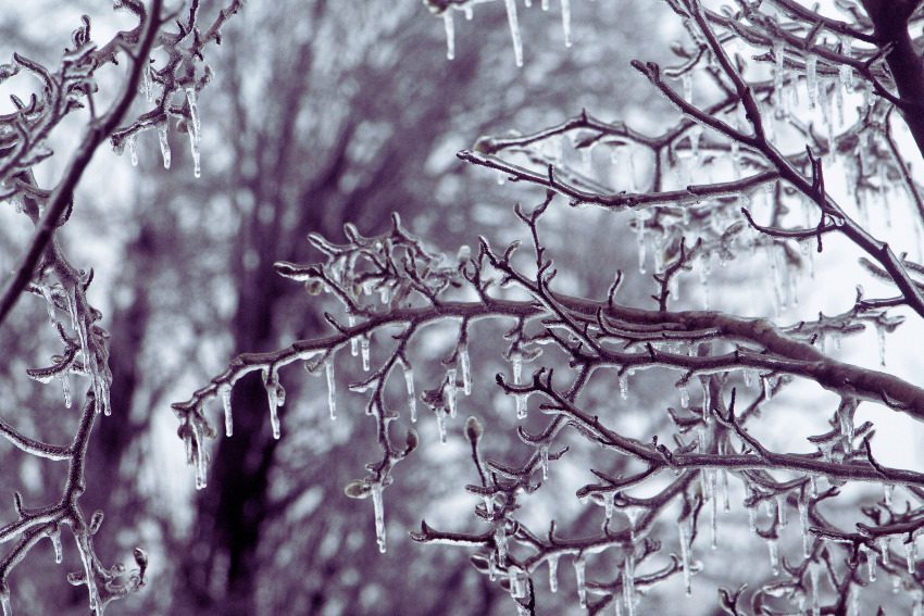 Whitmer declares emergency in ten northern Michigan counties following severe ice storms