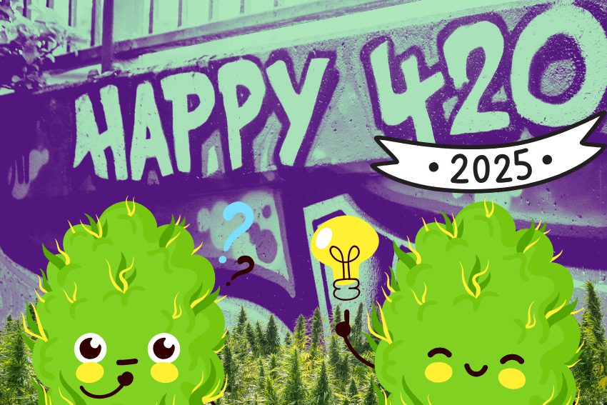 10 places for Michiganders to get high and hang out this 420