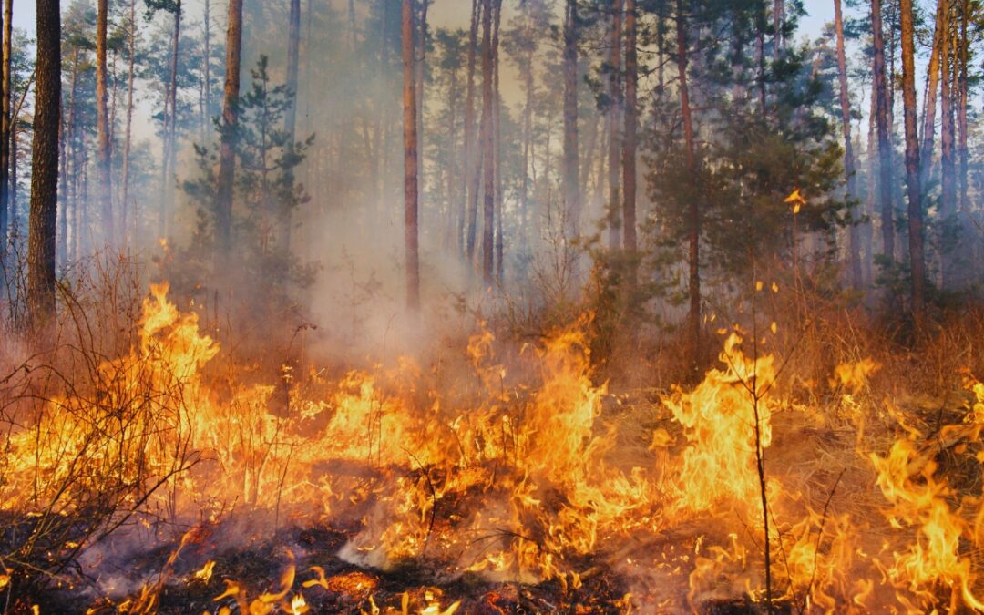 State asks residents to prepare their homes for wildfires
