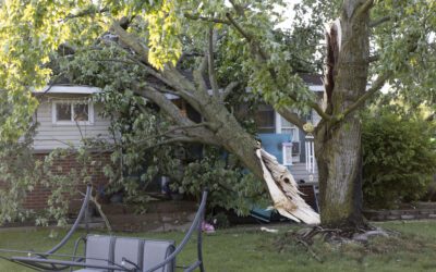 Severe thunderstorms down trees, knock out power to thousands across parts of Great Lakes region