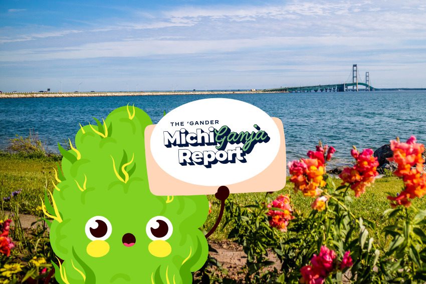 7 quick hits of cannabis news from across Michigan