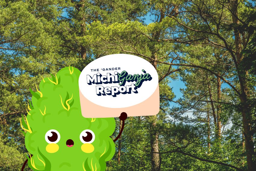 5 quick hits of cannabis news from across Michigan