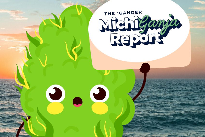 6 quick hits of cannabis news from across Michigan