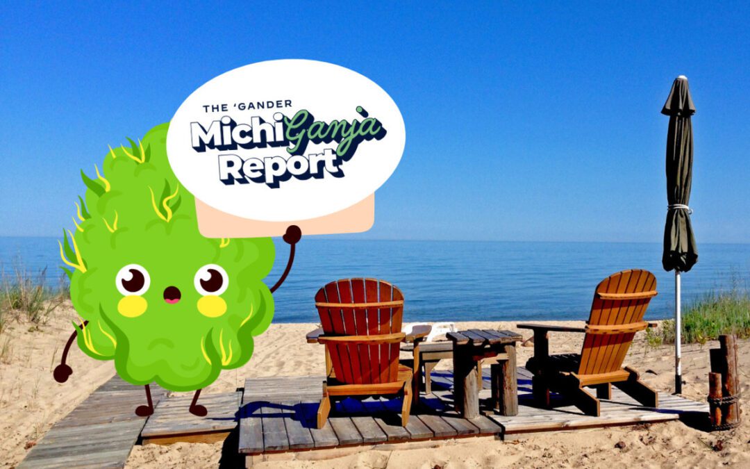 6 quick hits of cannabis news from across Michigan