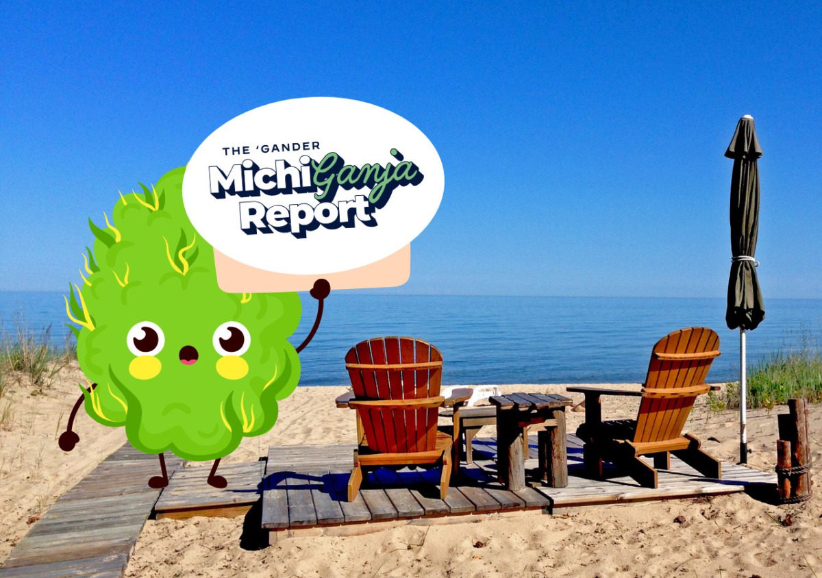 6 quick hits of cannabis news from across Michigan 6 quick hits of cannabis news from across Michigan