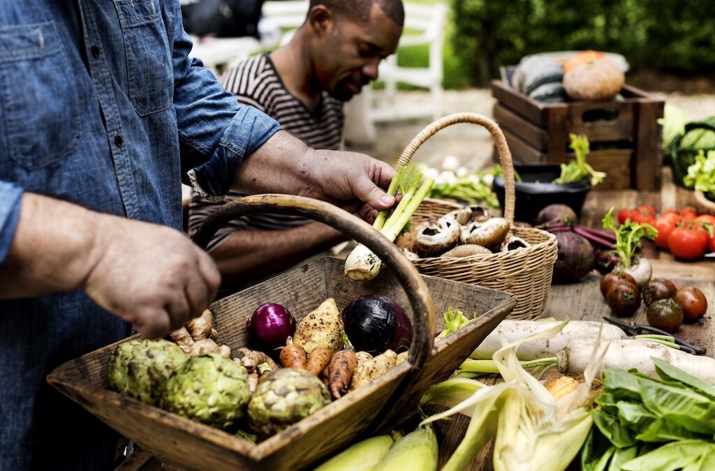 Working folks build food solutions, while Congress slashes SNAP