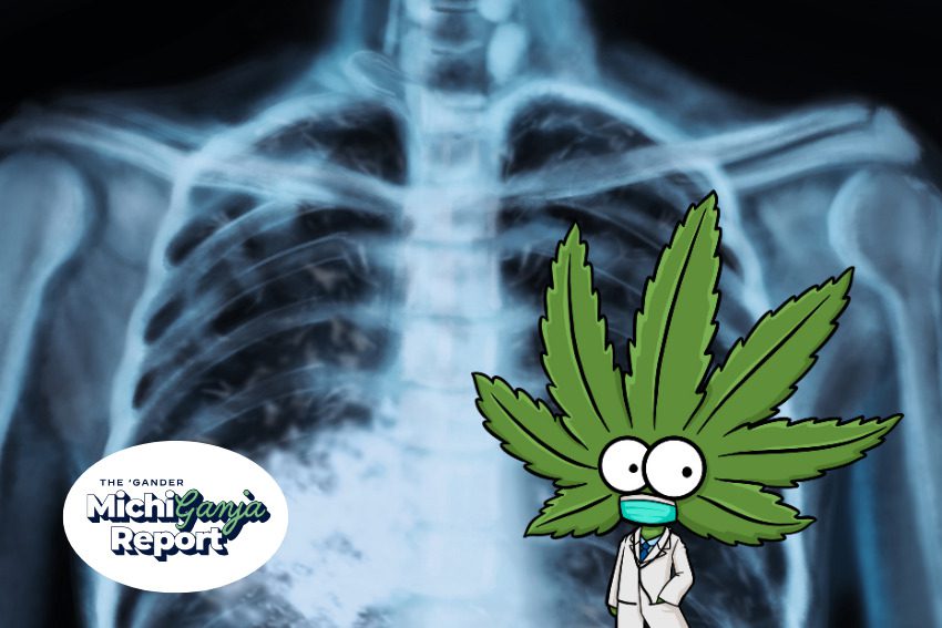 Harvard study confirms what Michigan stoners already know about using weed