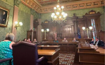 Rental application fees would be capped at $25 under legislation considered by Michigan senators