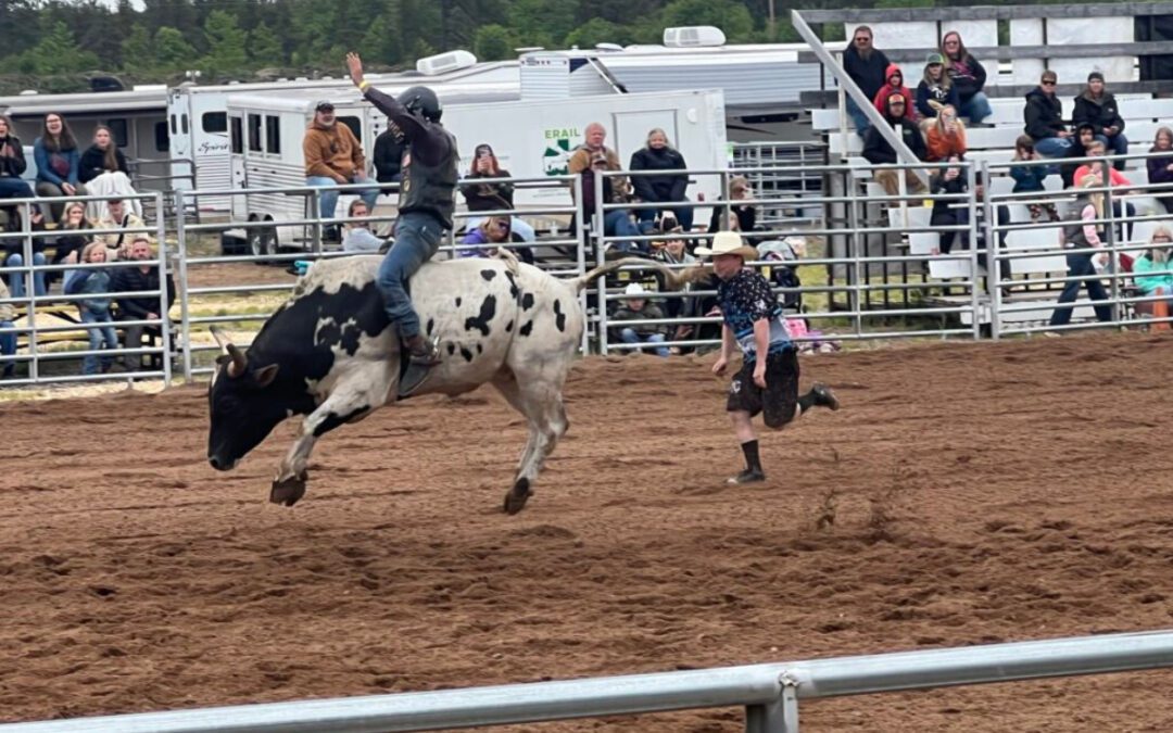 I took my 5 kids to their first Michigan rodeo & it was unforgettable