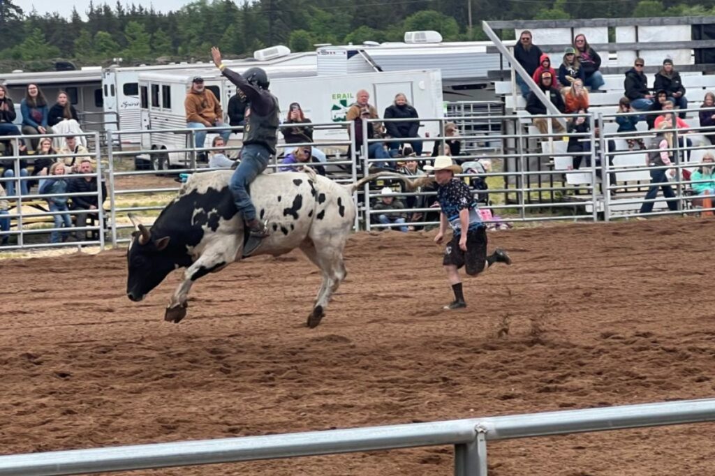 I took my 5 kids to their first Michigan rodeo & it was unforgettable