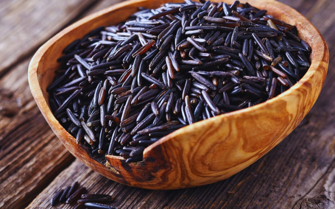 New book digs into Indigenous cuisine through archaeology, culture, ecology