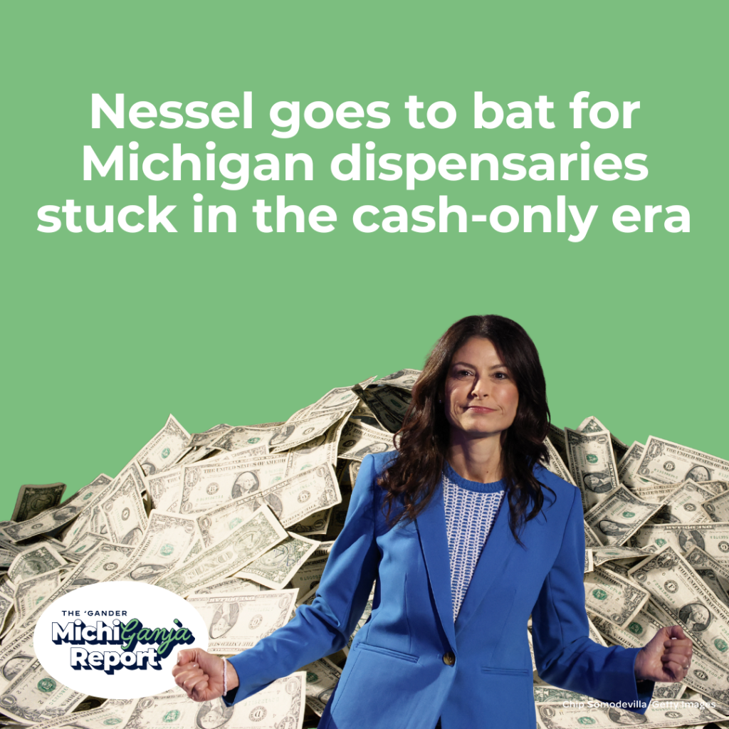 Dana Nessel wants to fix your weed money problem