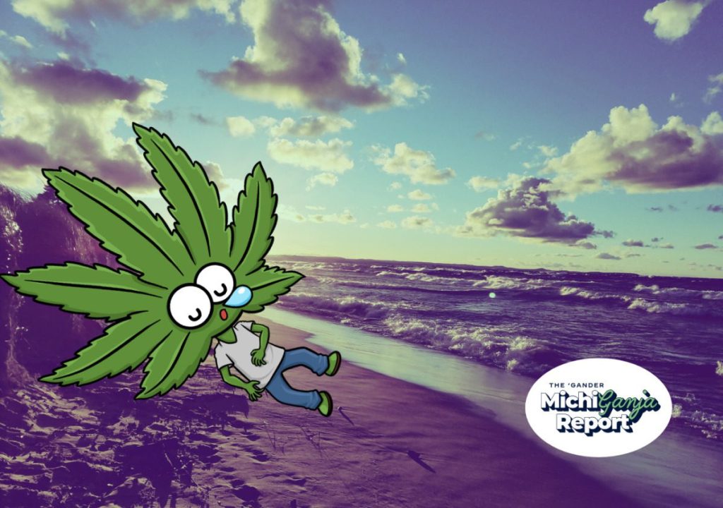 Top picks: 6 Michigan cannabis concentrates worth melting into this summer