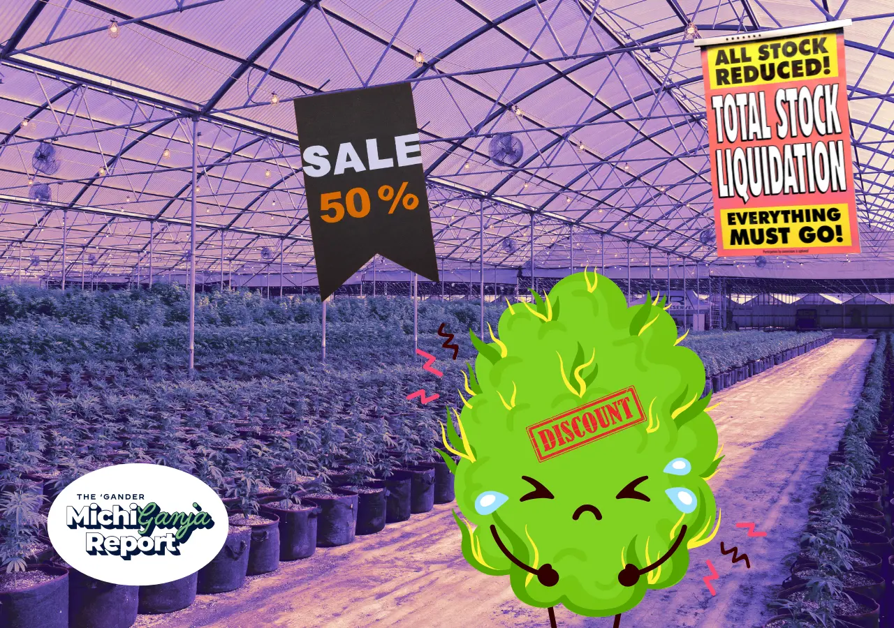 Why Michigan weed is cheaper than ever—and how that’s a huge problem
