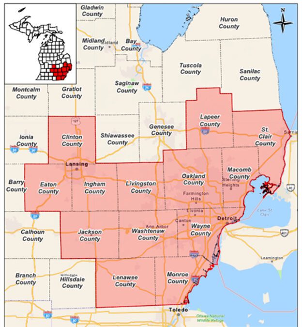 How Michigan is trying to stop the box tree moth