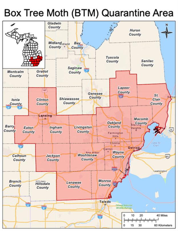 The quarantine zone for box tree moth in Michigan.