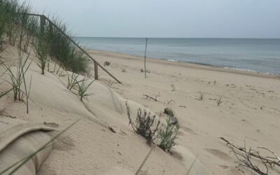 Years after high water crisis, lax policies leave Michigan coast vulnerable