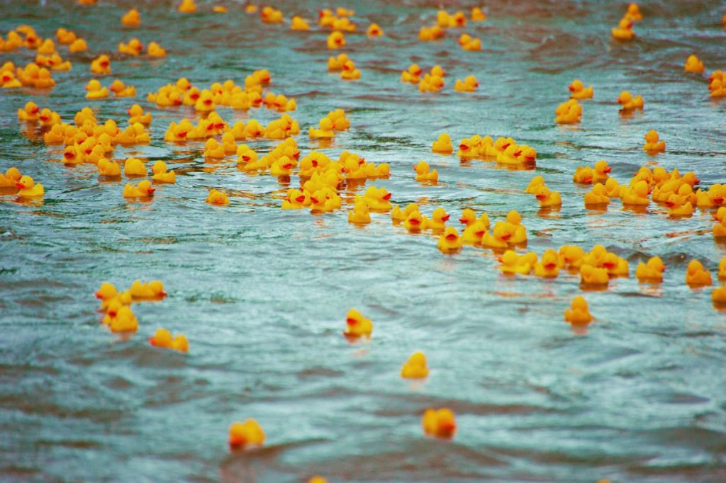 19 Michigan events to check out this weekend (Aug. 15-17)