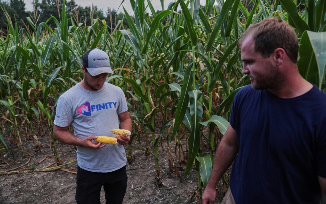 To get that perfect ear of corn, weather has to cooperate. But climate change is making it dicier