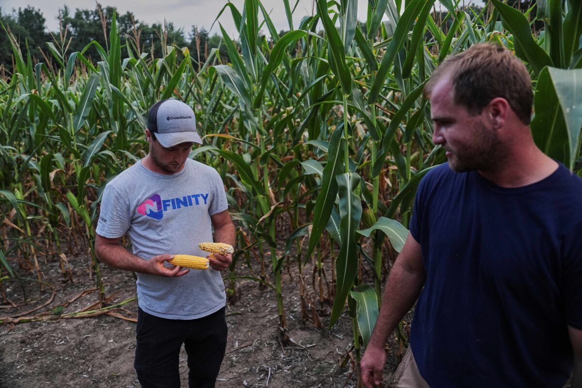 To get that perfect ear of corn, weather has to cooperate. But climate change is making it dicier To get that perfect ear of corn, weather has to cooperate. But climate change is making it dicier