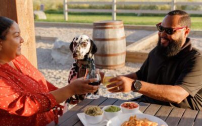 The Grand Rapids Food Guide: The best breweries of 2025