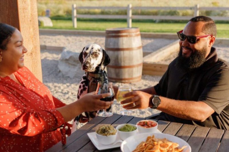 People and a dalmation enjoying beers on the patio of Archival Brewing, one of the best breweries in Grand Rapids