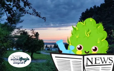 7 quick hits of cannabis news from across Michigan