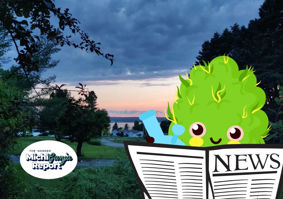 7 quick hits of cannabis news from across Michigan