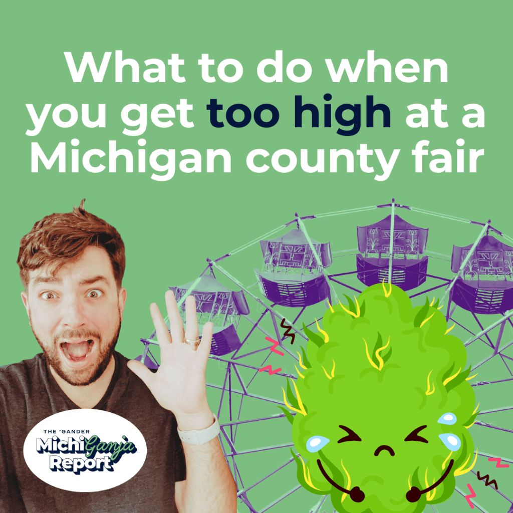 Too high at the fair? We’ve got a survival guide.