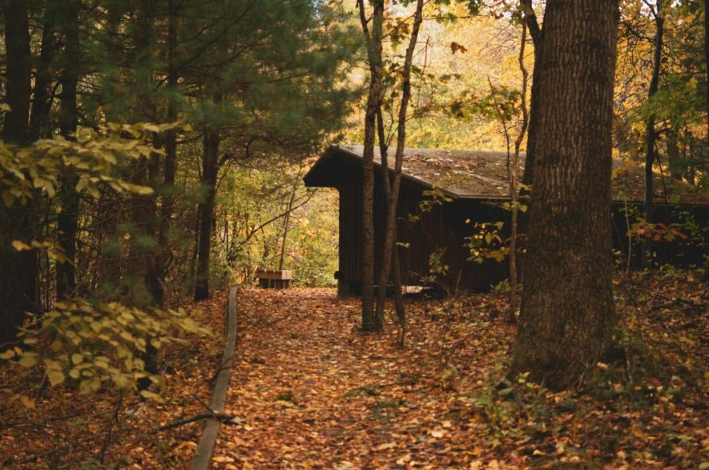 Plan an autumn adventure at the best fall foliage campsites in Michigan