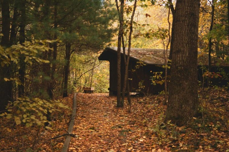michigan is full of campsites that are especially lovely in the fall