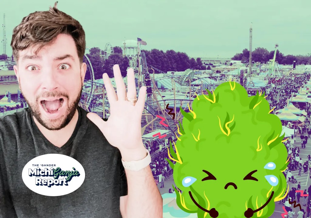 What to do when you get too high at a Michigan county fair