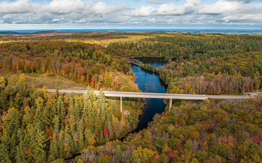 Your 2025 guide to leaf-peeping in Michigan: When and where to see fall colors
