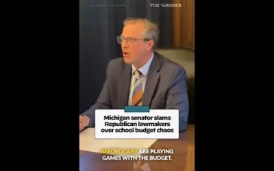 WATCH: Michigan senator slams Republican lawmakers over school budget chaos
