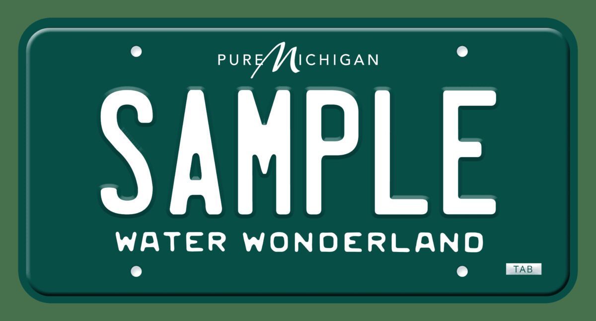 Michigan offers a variety of license plates. These are the most popular