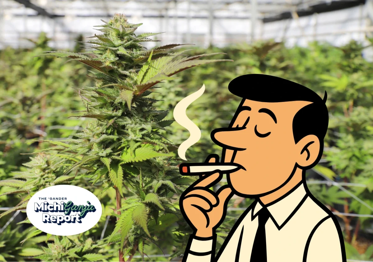 6 quick hits of cannabis news from across Michigan