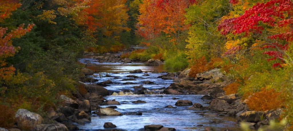 America’s No. 1 destination for fall colors is right here in Michigan