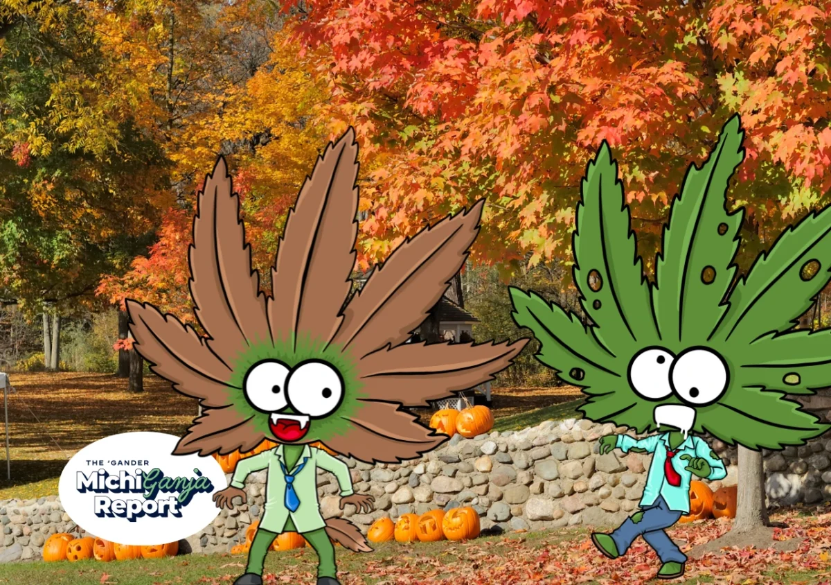 6 Michigan cannabis picks to keep the fall vibes rolling 6 Michigan cannabis picks to keep the fall vibes rolling