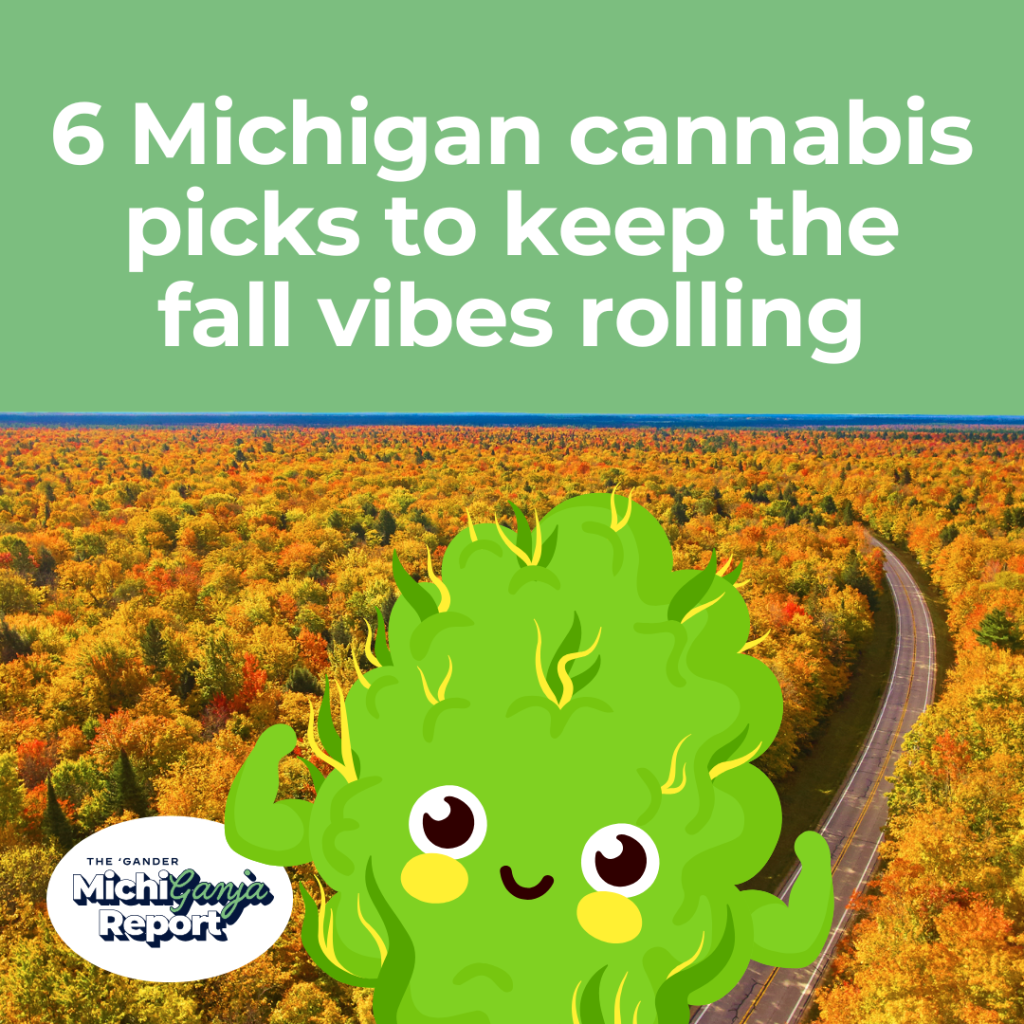 6 Michigan cannabis picks to keep the fall vibes rolling